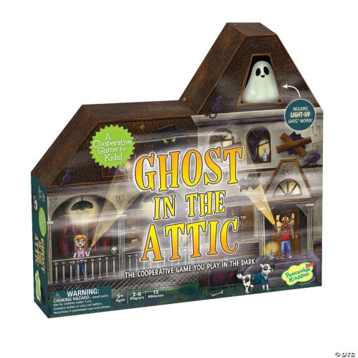 Ghost In The Attic Cooperative Game
