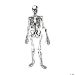 Learning Resources® Skeleton Foam Floor Jigsaw Puzzle -Bright Minds Store learning resources skeleton foam floor jigsaw puzzle13965390 a02