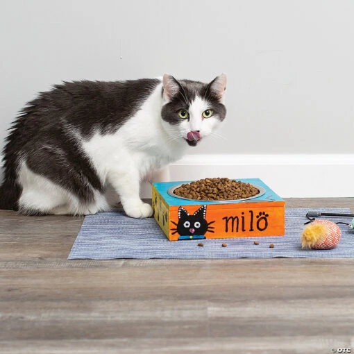 Make Your Own Pet Dish - Image 5