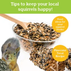 Make Your Own Squirrel Feeder -Bright Minds Store make your own squirrel feeder14255781 a05