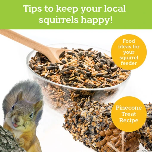 Make Your Own Squirrel Feeder - Image 5