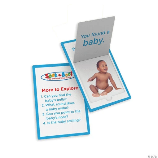 Seek-a-Boo Game & Flip-and-Find Word Cards - Image 5