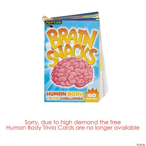 Squishy Human Body - Image 2