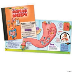 Squishy Human Body -Bright Minds Store squishy human body56164 a03