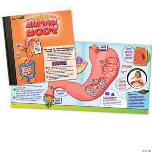 Squishy Human Body - Image 4