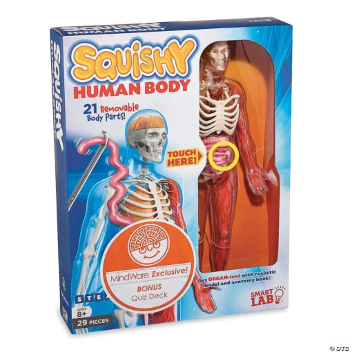 Squishy Human Body - Image 5